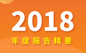 一張圖看懂偉星新材2018年報！