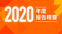 偉星新材2020年度報(bào)告精要