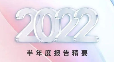 一張圖看懂偉星新材2022半年度報(bào)告